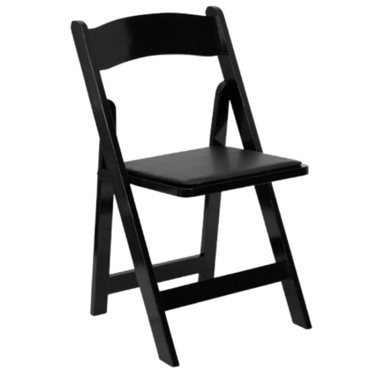 Black Resin Padded Chairs